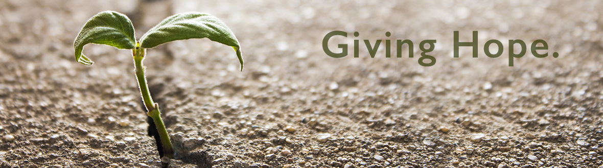 Learn About the Process